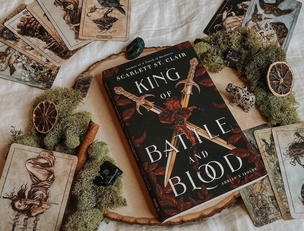 If you’re on the hunt for a super spicy 🌶 book, then you need to read King of Battle and Blood… that’s all I’m saying. 

#thenovelthief #readingforlife #libraryofinstagram #instabookclub #booksarebetter #greatread #bibliophiles #readingislife #bookishcommunity #booknerd  #bookblogger #amreading #spicybooks #spicybookstagram #spicybook